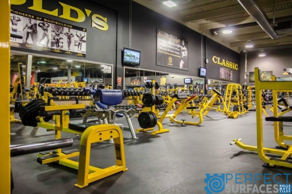 Goldsgym 1024x683