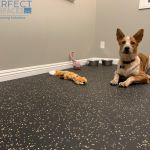 dog rubber flooring