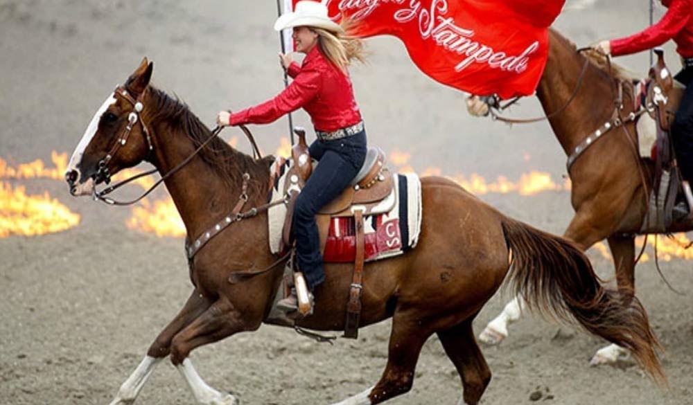 Calgary stampede flag rider bg