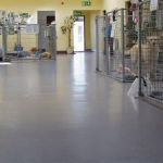 pad and pour urethane veterinary and dog flooring