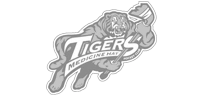 Medicine Hat Tigers logo