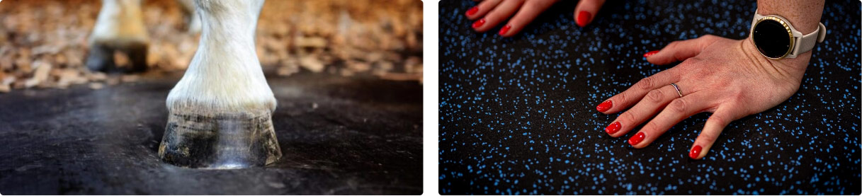 Group of photos - Animal hoof stepping on rubber mat, and close-up of hands on a gym mat