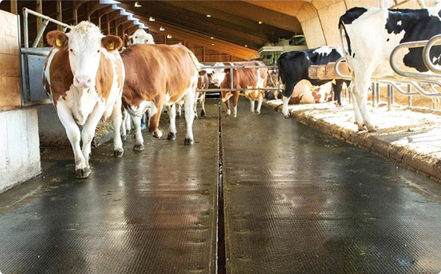 Guide agricultural flooring trends