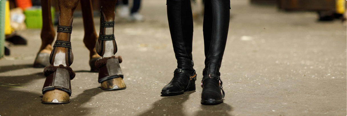 Horse and rider close up on hooves and boots