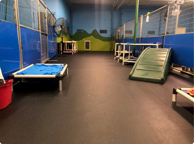 Doggy Daycare Rubber Flooring