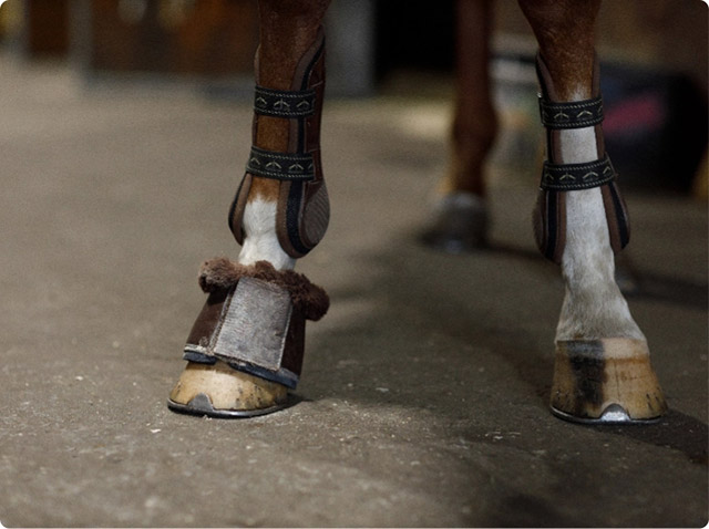 Category equestrian stall mats