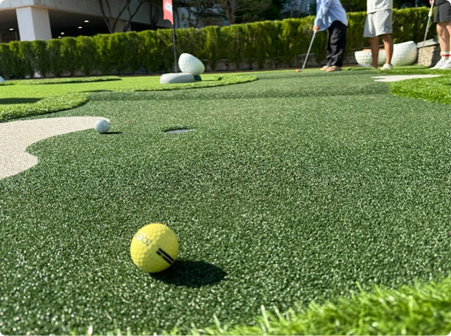 Category golf turf