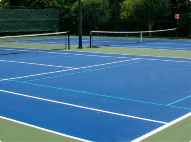 Category pickleball court